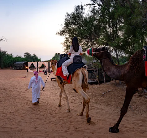 Overnight Desert Safari